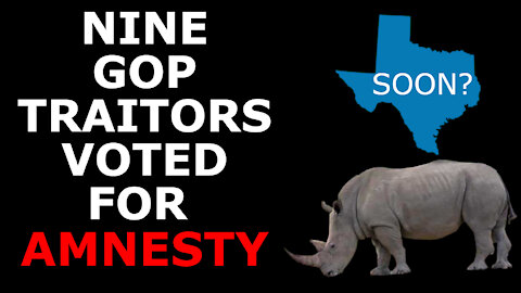 THE GOP'S BETRAYAL CONTINUES! - 9 House Republicans Vote for Mass Amnesty Bill H.R. 6
