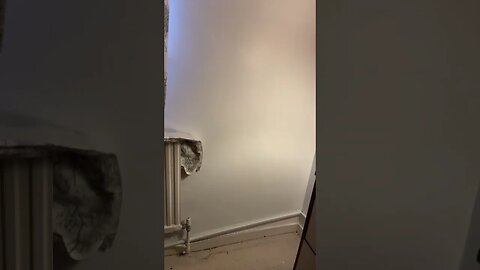 Bedroom view shot on my iPhone 13