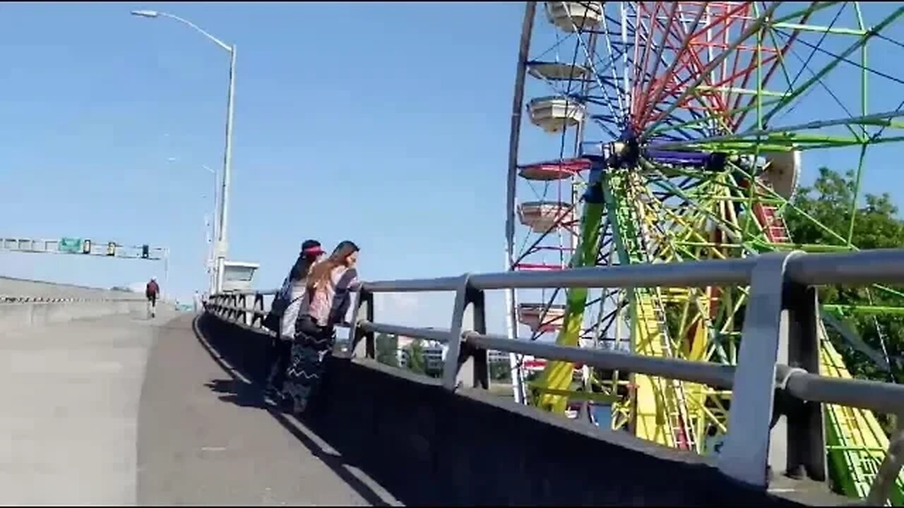 VLOG 231: rose festival livestream recap
