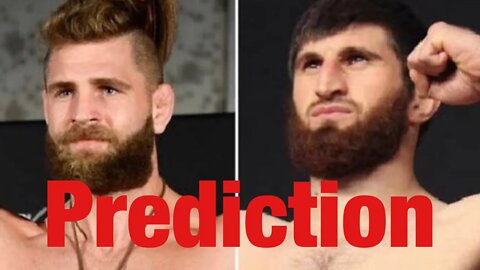 Jiri Prochazka Vs Magomed Ankalaev Future Prediction