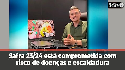 Semeadura da safra 23/24 está comprometida com risco de doenças e escaldadura