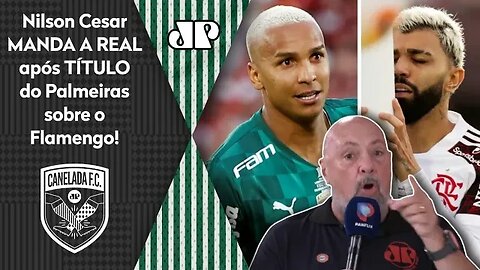 "O Flamengo se ACHOU SOBERANO! Nós temos que APLAUDIR o Palmeiras!" Nilson Cesar MANDA A REAL!