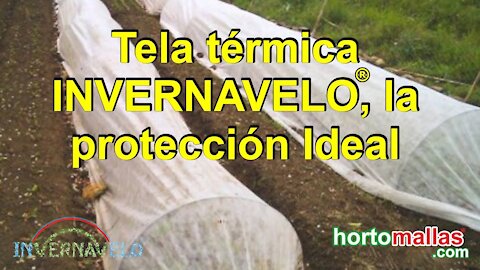 Tela térmica INVERNAVELO®, la protección Ideal.