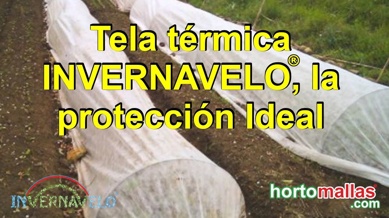 Tela térmica INVERNAVELO®, la protección Ideal.