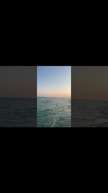 I ❤️ #pensacola #florida #summer