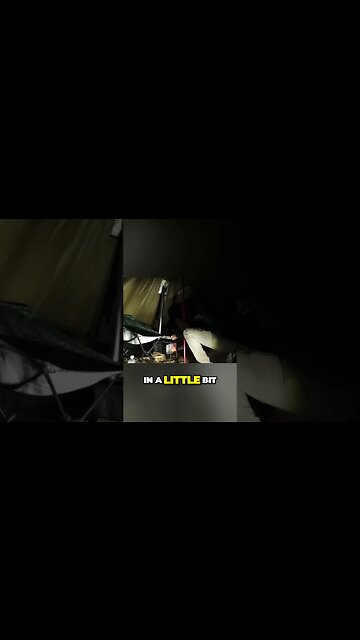 Boost Your Bonfire with Fresh Wood for a Cozy Evening