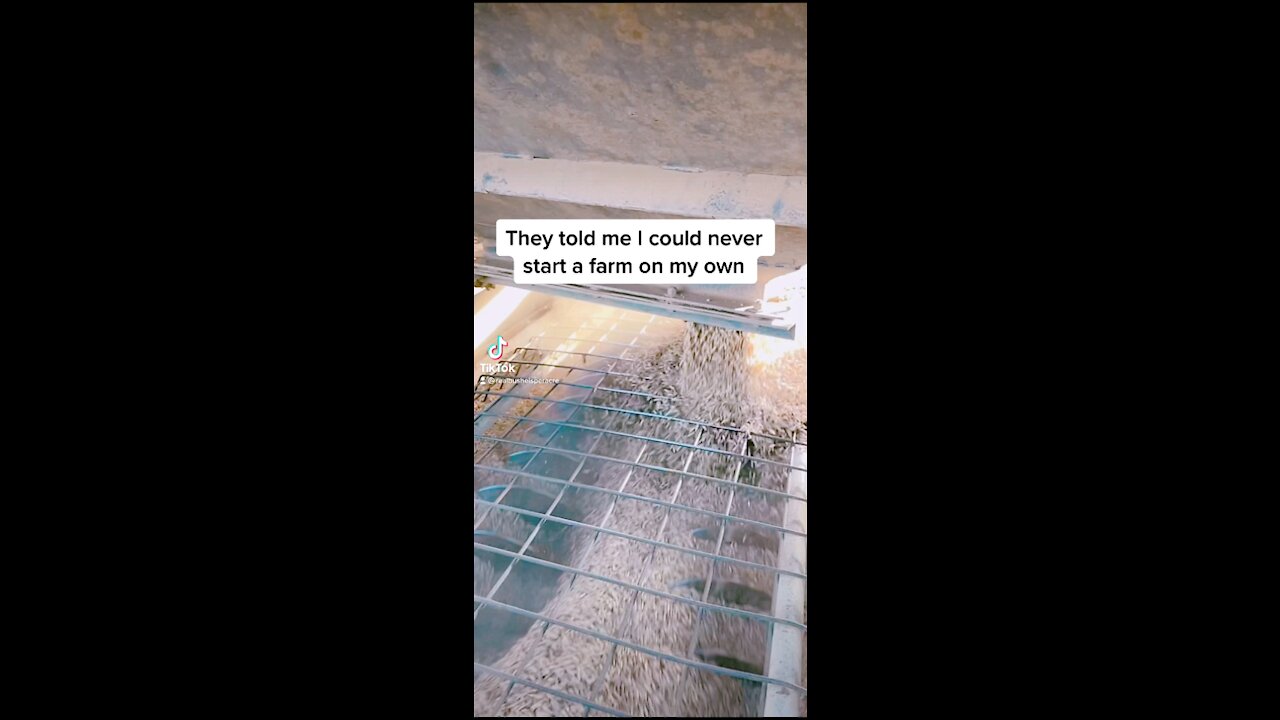 Never give up on your dreams