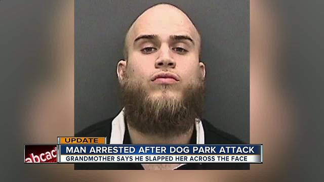 Man arrested for allegedly attacking grandma at Tampa dog park