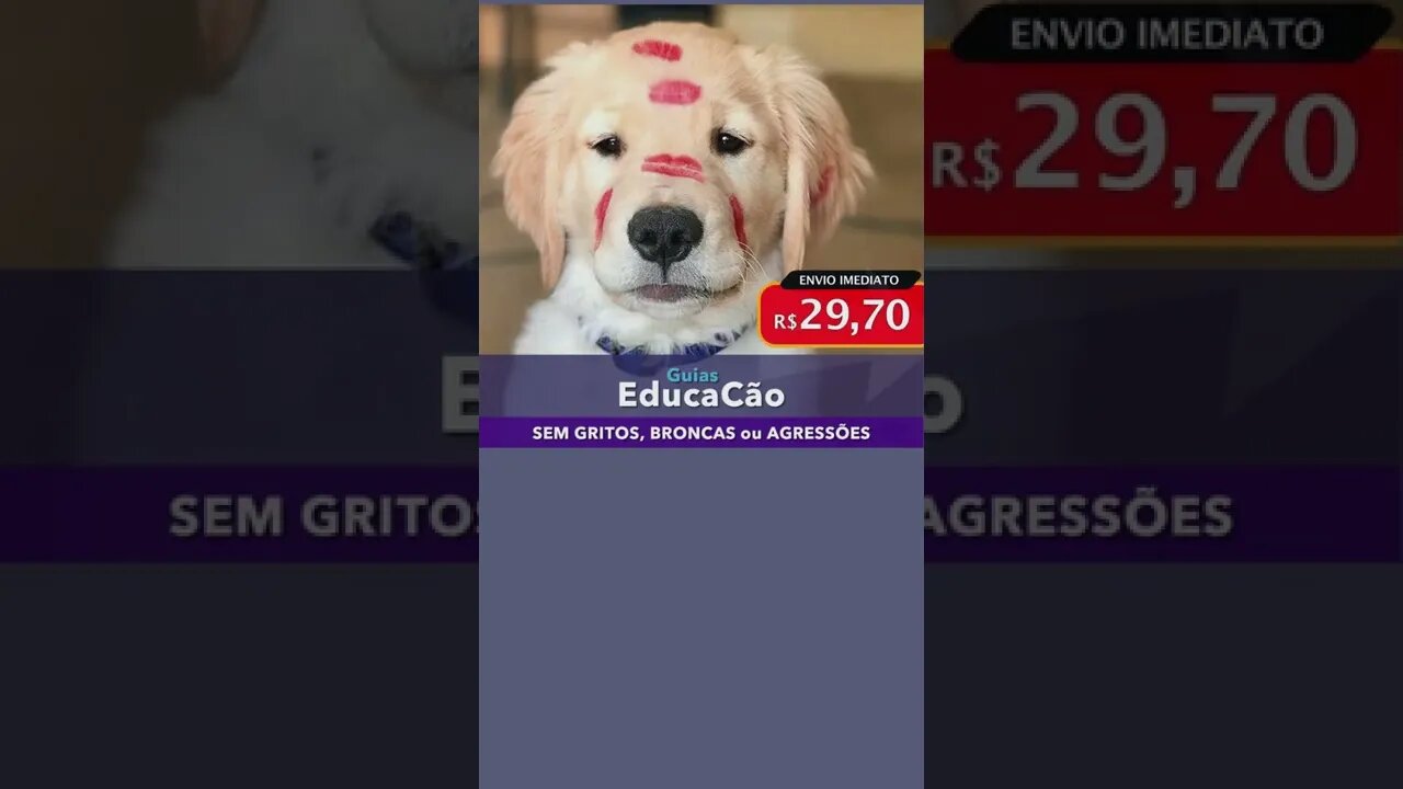 lol this puppy is clumsy???