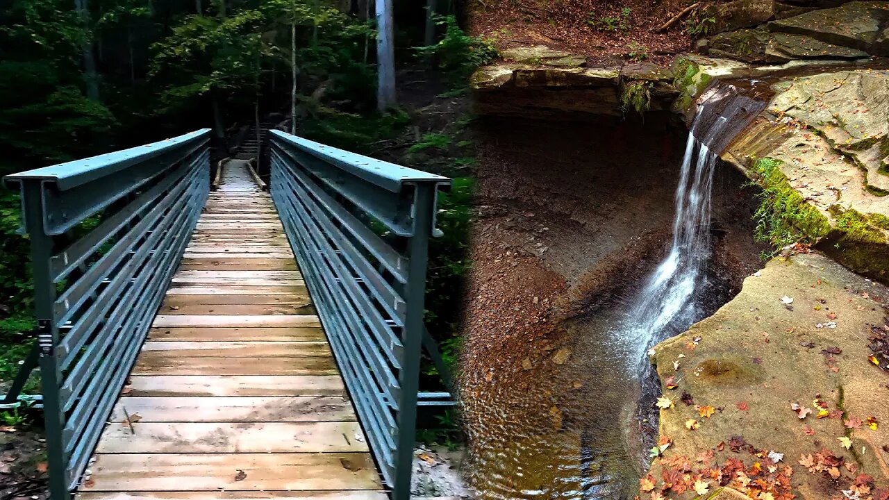 Nature Sounds For Sleep, Calm Walk Through the Forest