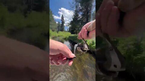 Fishing little Deschutes