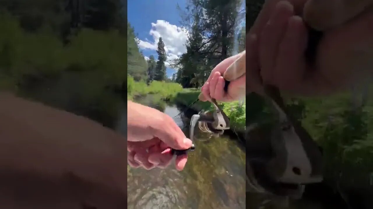 Fishing little Deschutes