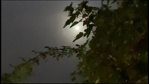 Mond 18.10.2024 um 7:00 Uhr