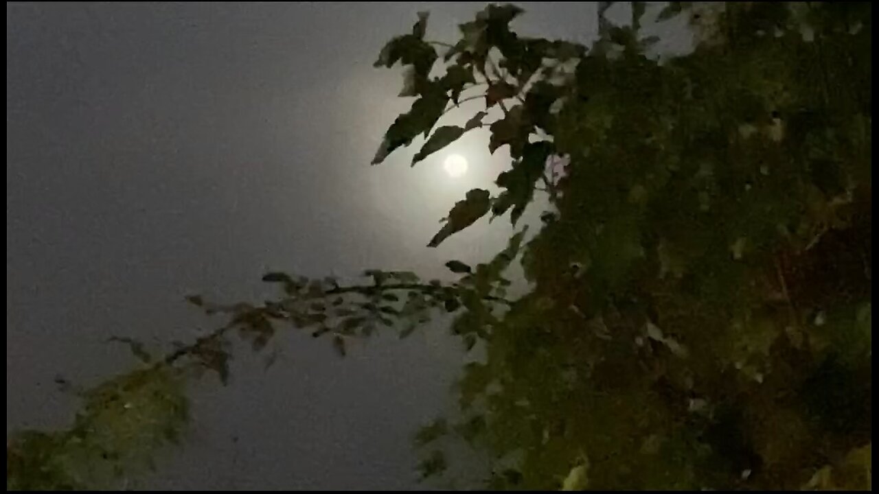 Mond 18.10.2024 um 7:00 Uhr