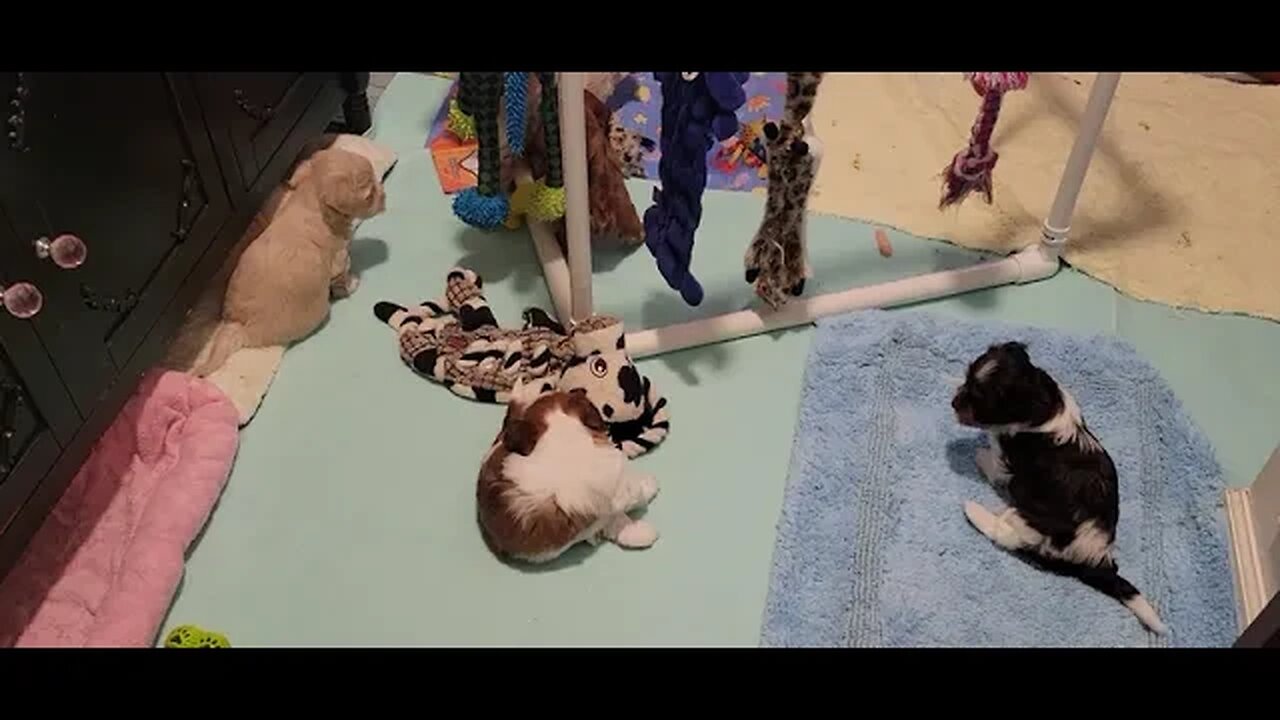 T & V - Growing So Fast! (1)