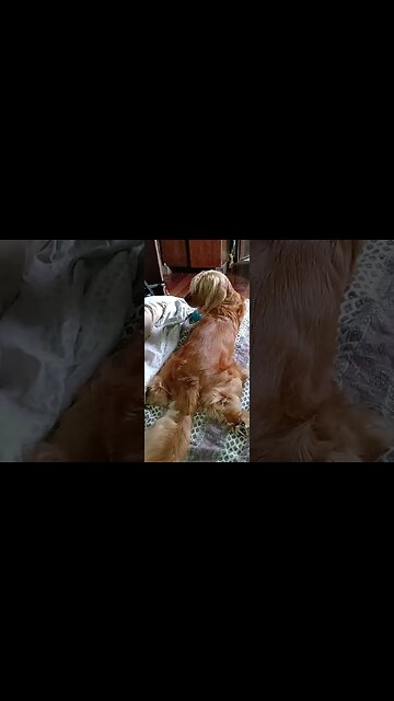 subscribe to my channel