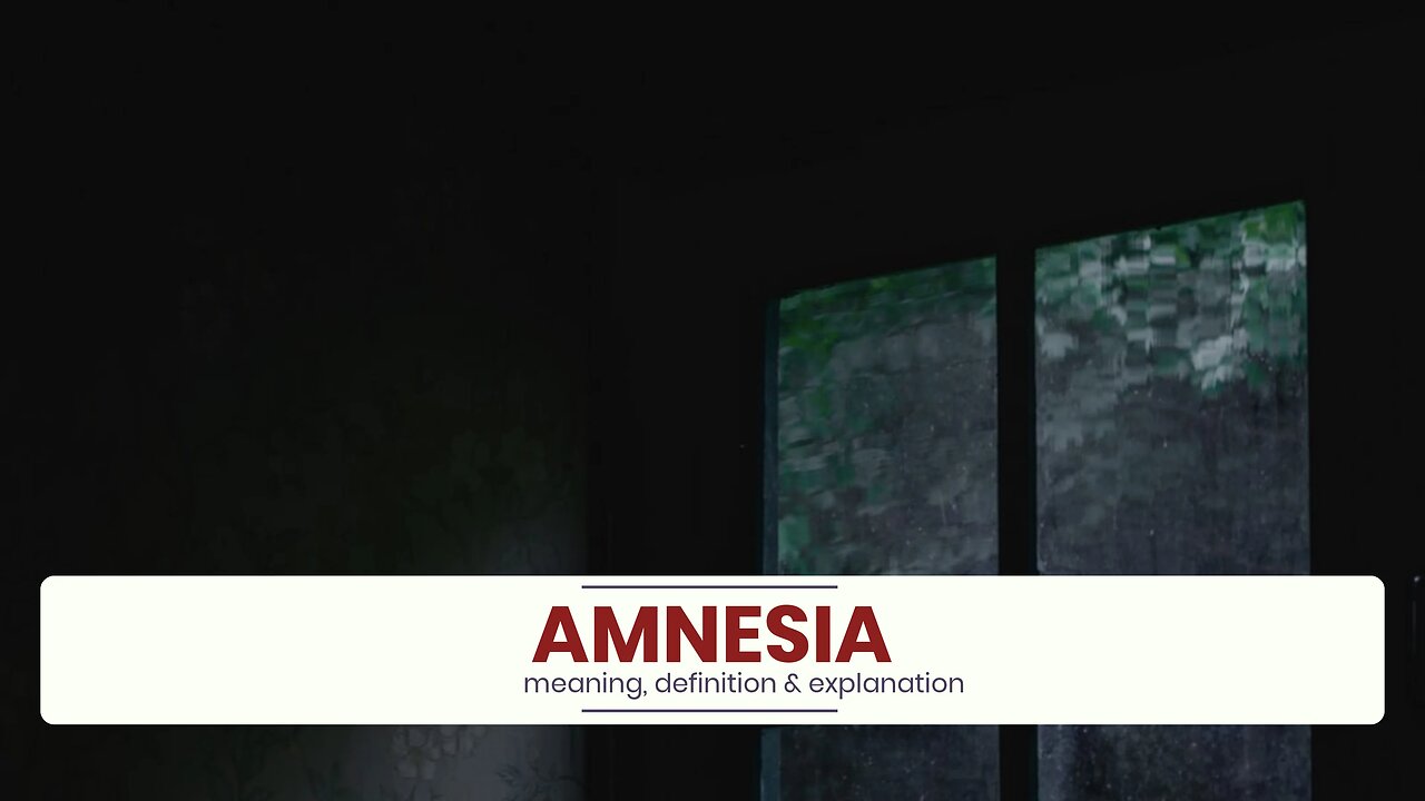 What is AMNESIA?