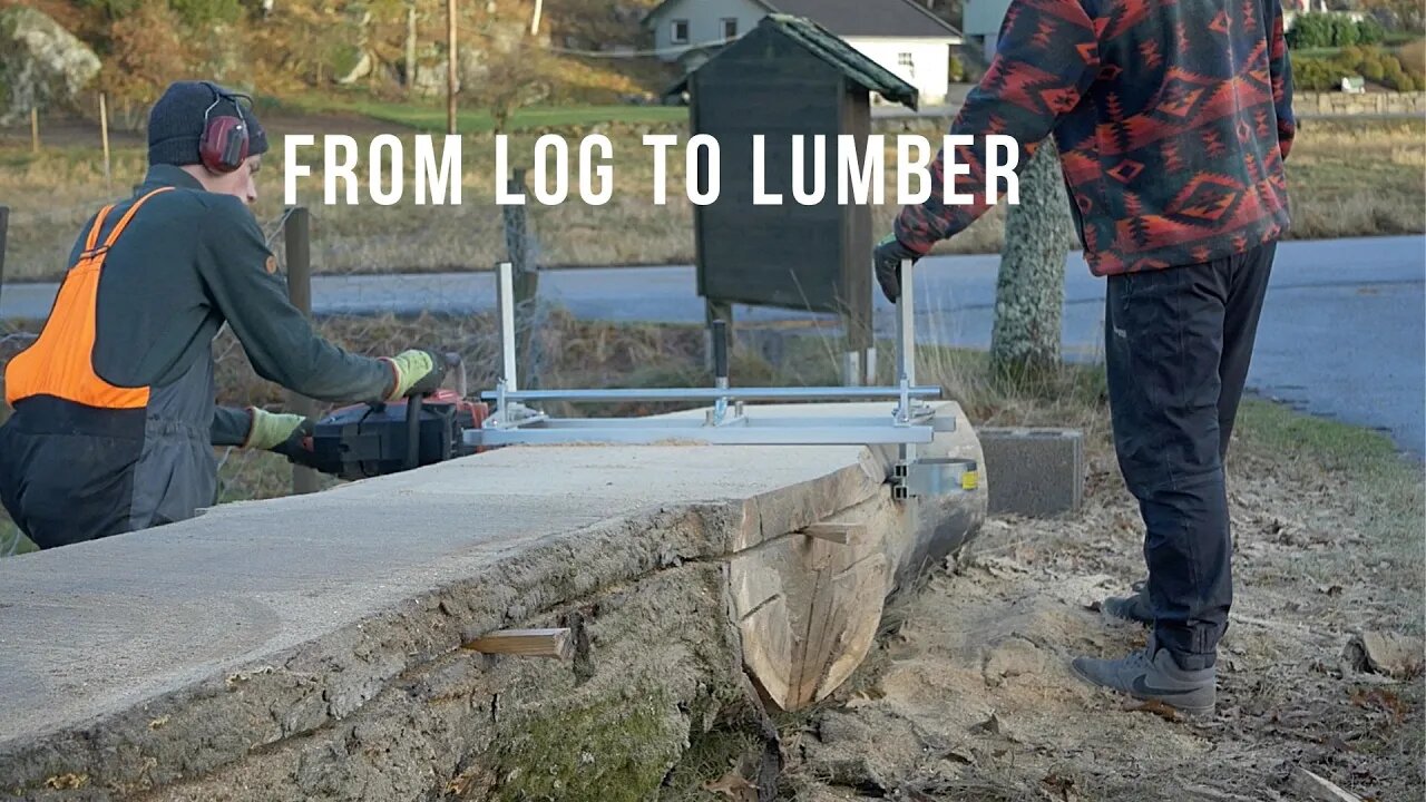 Chainsaw-Milling a big European White Oak!