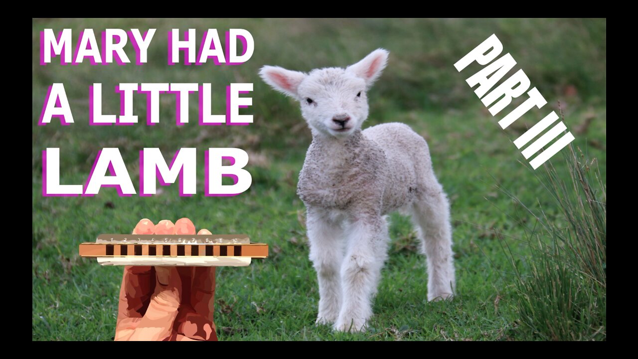 How to Play Mary Had a Little Lamb on the Harmonica Part 3