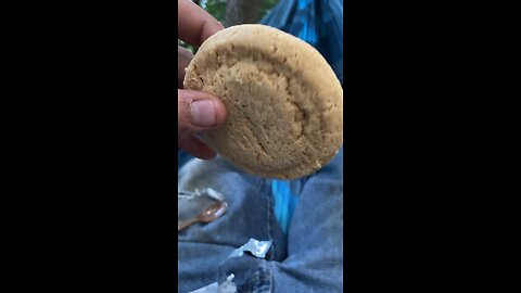 MRE Short bread cookie