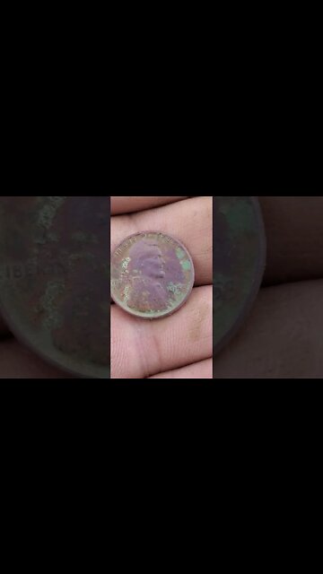 1955 #buttons #coins #metaldetecting #trending #silver #civilwar #battlefield #relic