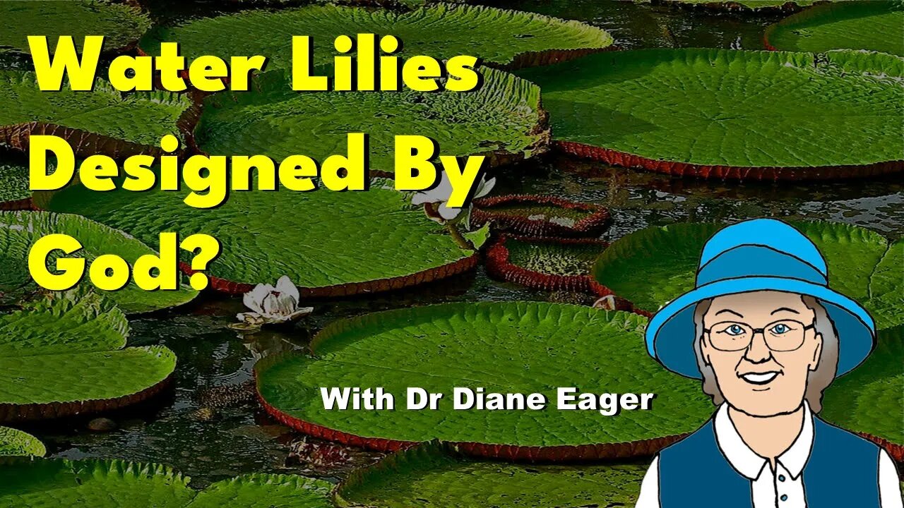 Water Lilies Designed By God?