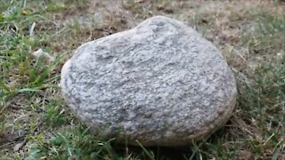 The Big Rock Under The Stairs