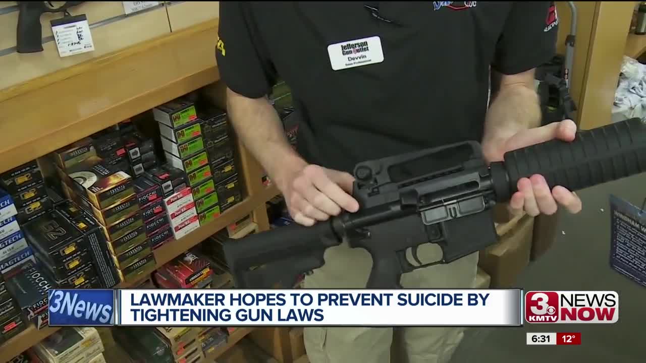 Lawmaker hopes to prevent suicide by tightening gun laws