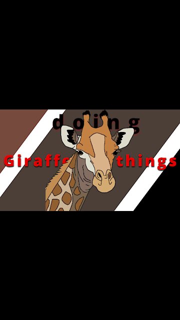 A girl feeding giraffes in the zoo