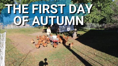 It's Autumn | Birthday Fun | Kittens Moved To the Loft Of The Barn.