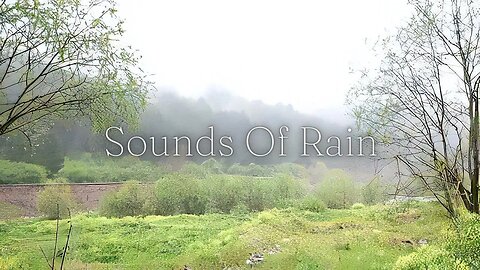 Long lasting rain sounds for 5 Hours