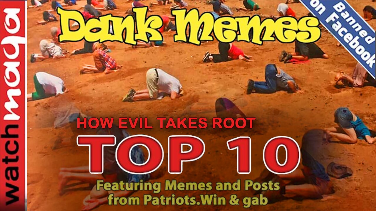 How Evil Takes Root: TOP 10 MEMES