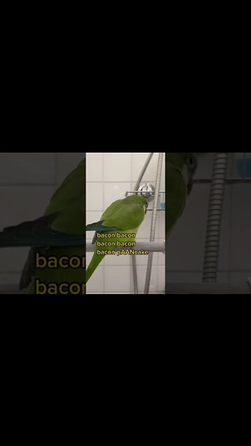 Most Amazing and trending video||relaxing your mind||trendig videos|| #shorts #trending #viral #live