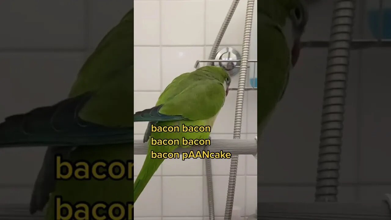 Most Amazing and trending video||relaxing your mind||trendig videos|| #shorts #trending #viral #live