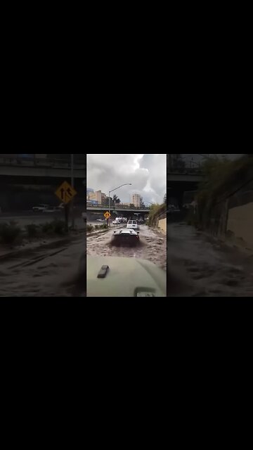 Would you do that to your luxury car? 🤔🤔🤔 #shorts #subscribe #youtubeshorts #reels #shortsviral