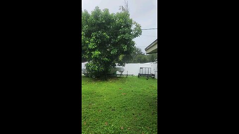 Hurricane Milton