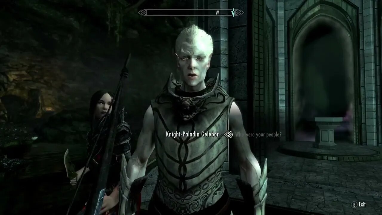 Skyrim Let Meet a Snow Elf