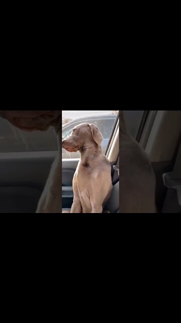 Have you EVER felt this way ..? #short