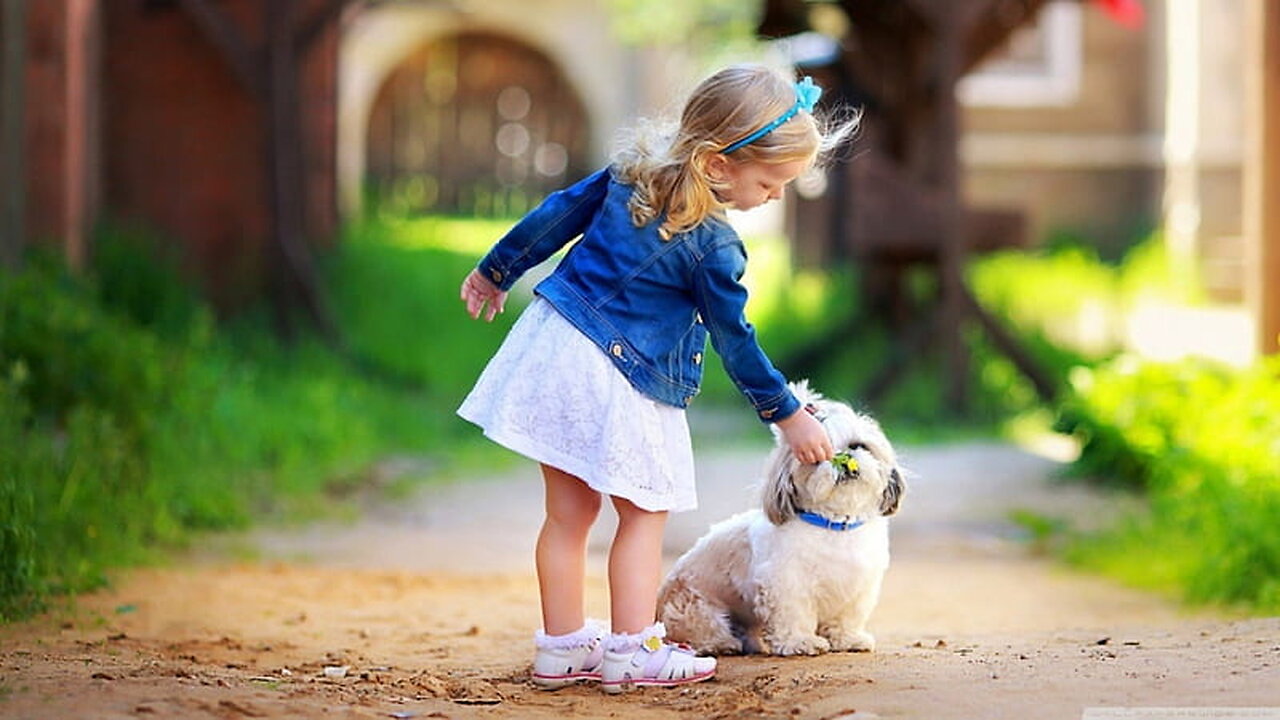 DOG AND BABIES ARE BEST FRIENDS😍😍😎😎😍😎