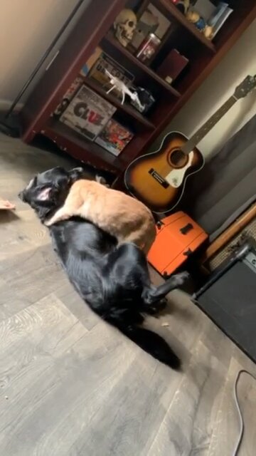 What’s going on here?