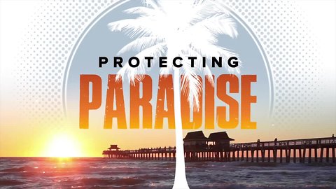 Protecting Paradise, a focus on the environmental issues in Southwest Florida