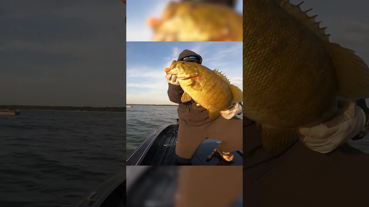 My Favorite Bait for Fall Smallmouth