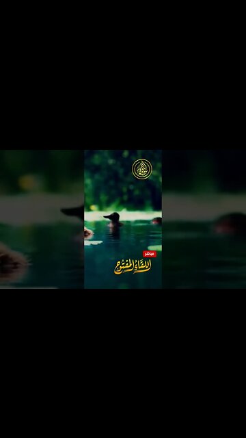 القوانين الغربية تسقط قوامة الرجل و تضع المرأة في امتحان عسير بين تحكيم شرع الله أو الحكم الوضعي