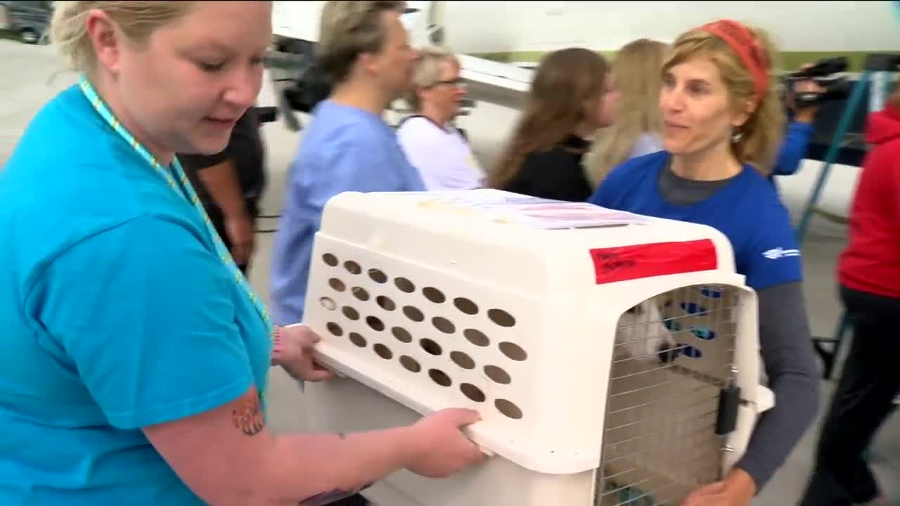 Wisconsinites are lending a helping hand to Hurricane Florence victims