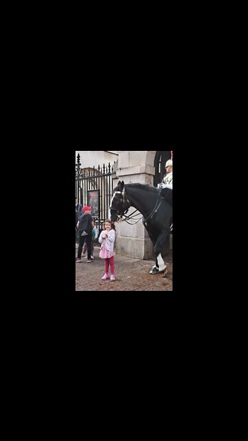 Horse tries to eat kids hair #horseguardsparade