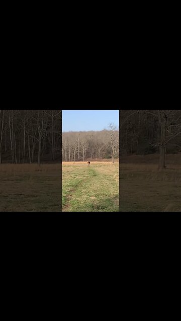 Just a case of the Mondays #shorts