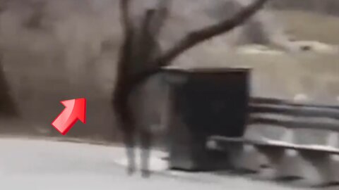 found shadowy person while walking and shooting [Ghost]