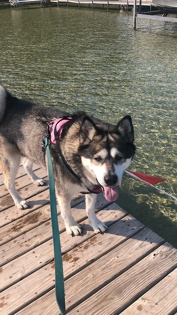 Saturday Sept 14, A father corrects a child in whom he delights.