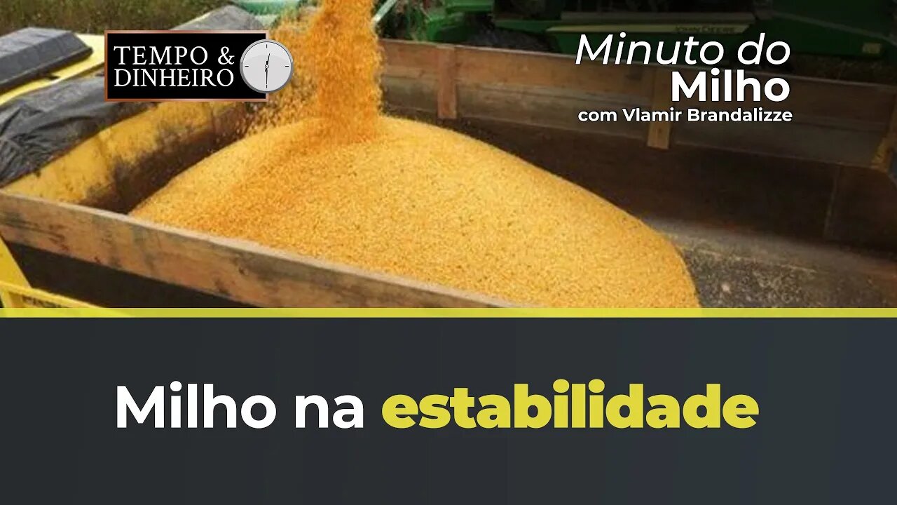 Milho na estabilidade