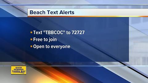 New alert system launched to help keep Tampa Bay beaches community informed